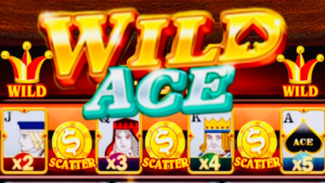Wild Ace - Tựa game sở hữu tỷ lệ hoàn trả cực ấn tượng với 97%